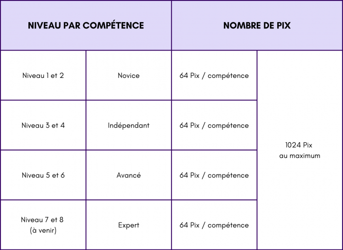 Niveau de compétence et nombre de Pix